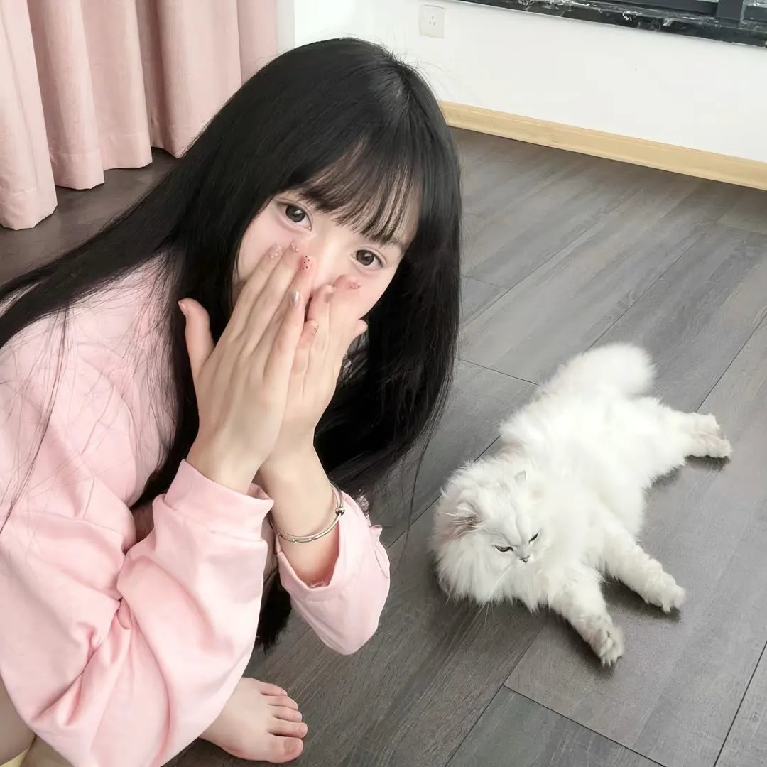 花落莺啼春