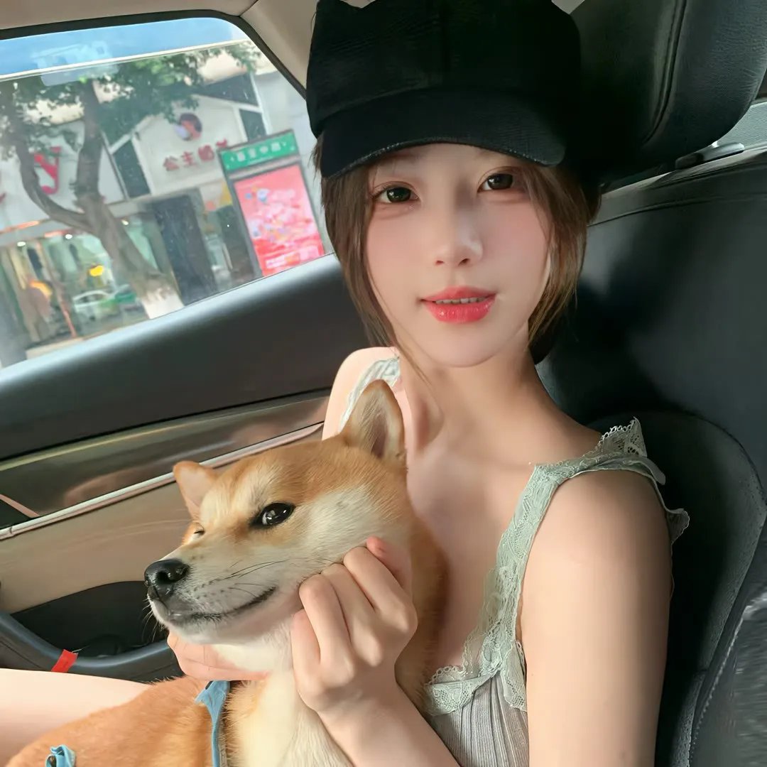 佩尼特环游世界的爱